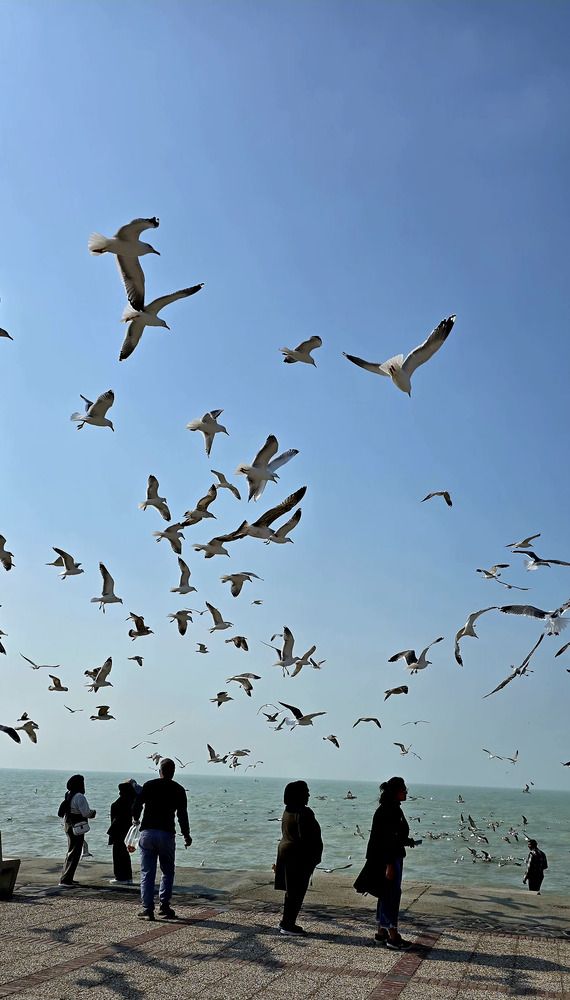 Photograph by behrooz roosta