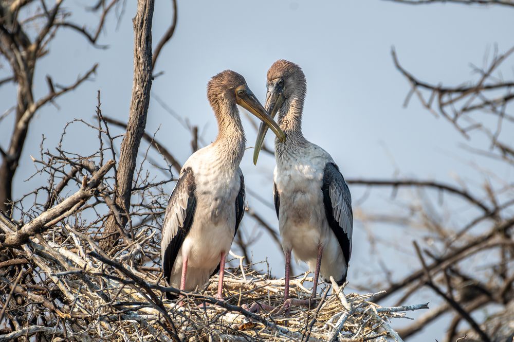 Photograph by Atul Sharma