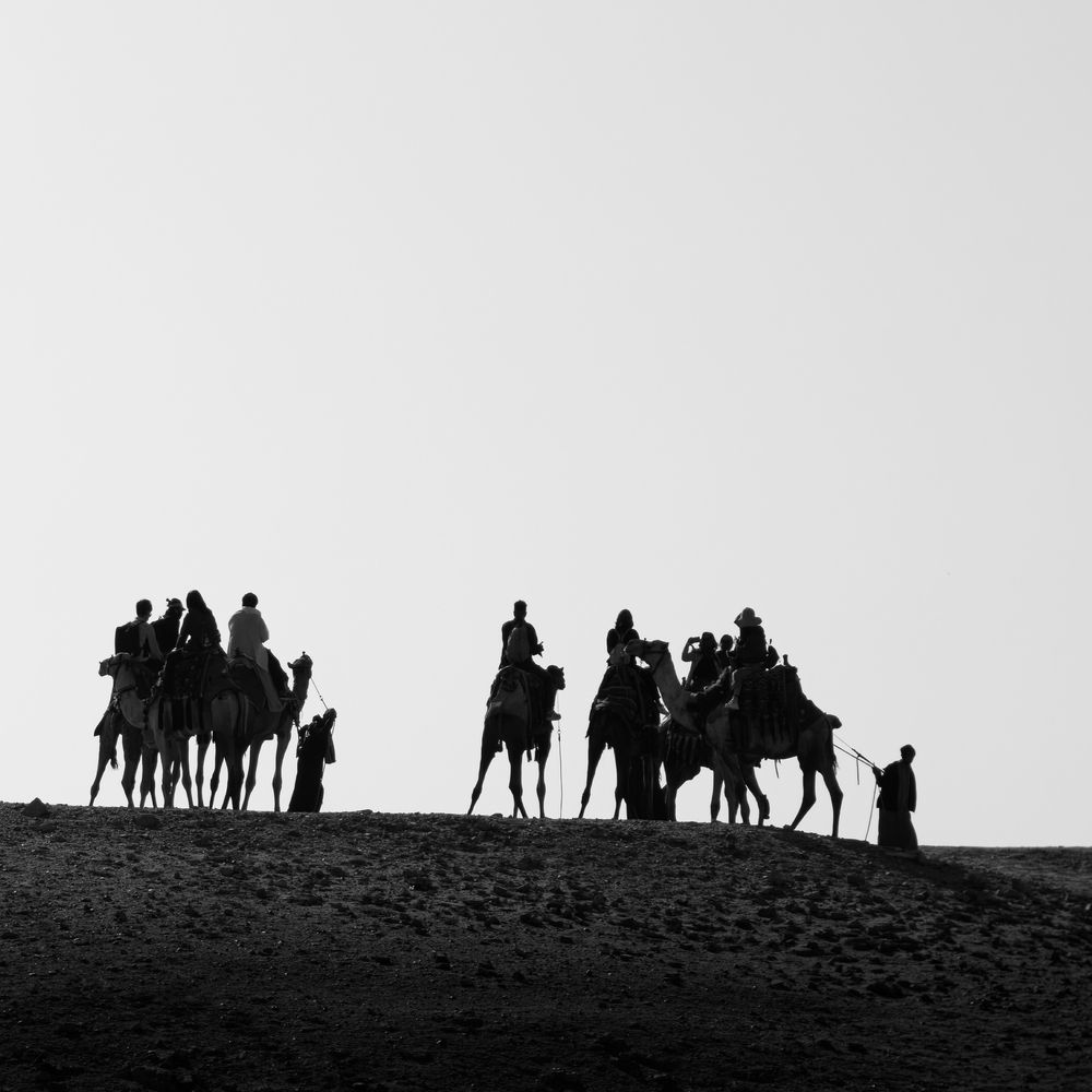 Photograph by Alaa Nour