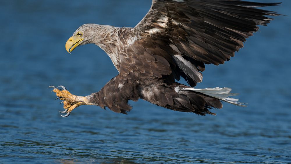 Photograph by Ruzhdi Ibrahimi