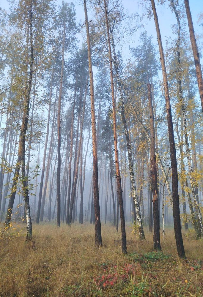 Photograph by Юлия Волгина