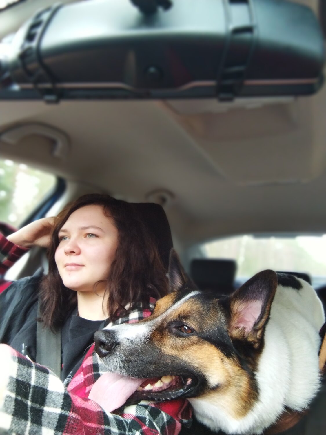Photo #13303534