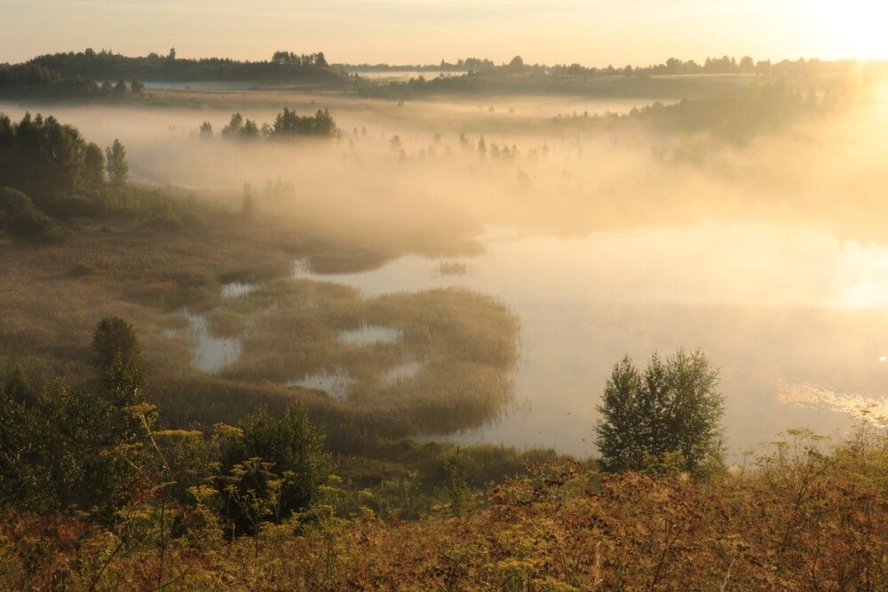 Photograph by Сергей Пюннинен