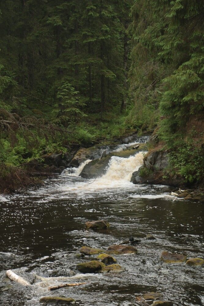 Photograph by Сергей Пюннинен