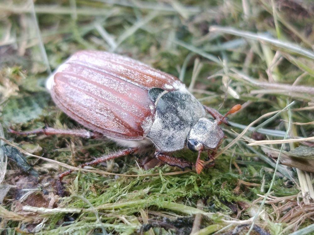 Photograph by Сергей Пюннинен