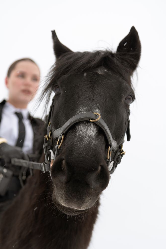 Photograph by Рыков Андрей