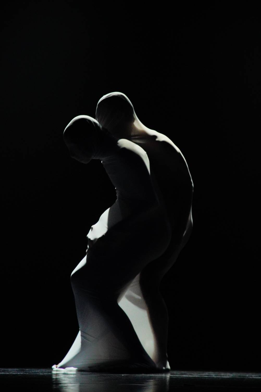 Photo #13303713