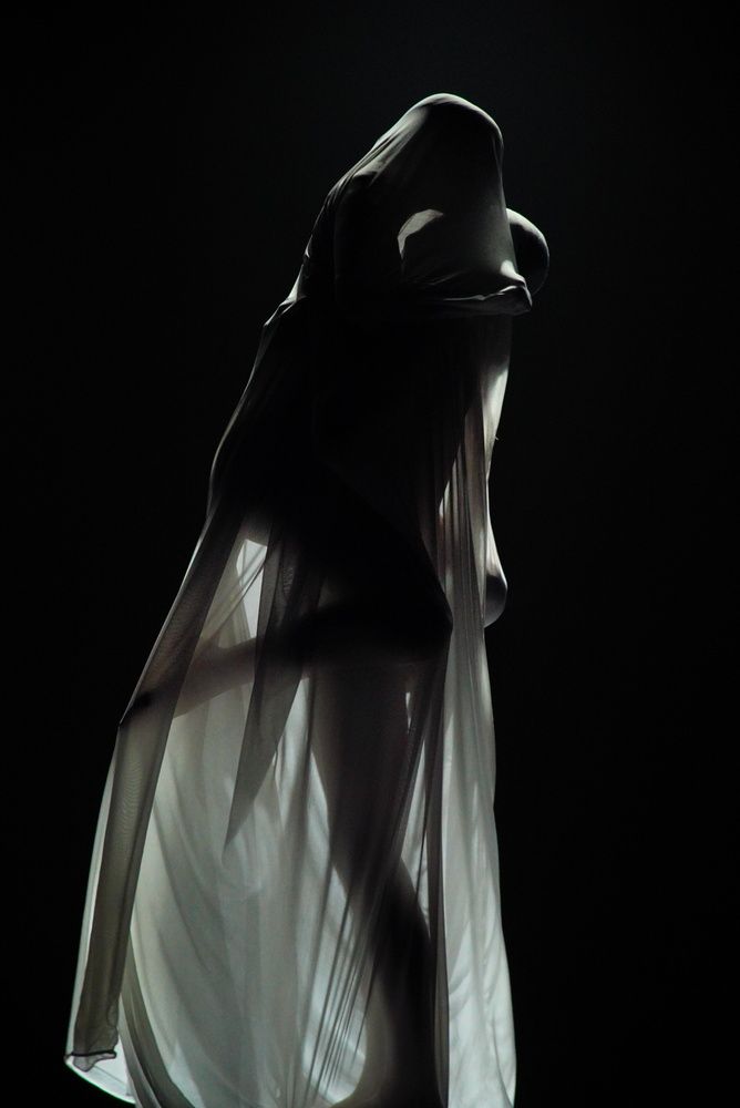 Photo #13303714