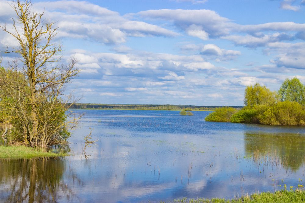 Фотография автора Алексей Борисов