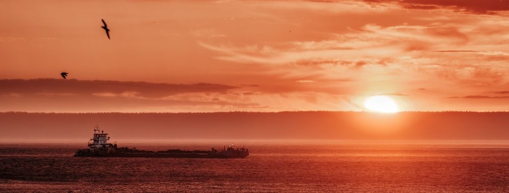 Photograph by Илья Прохоров