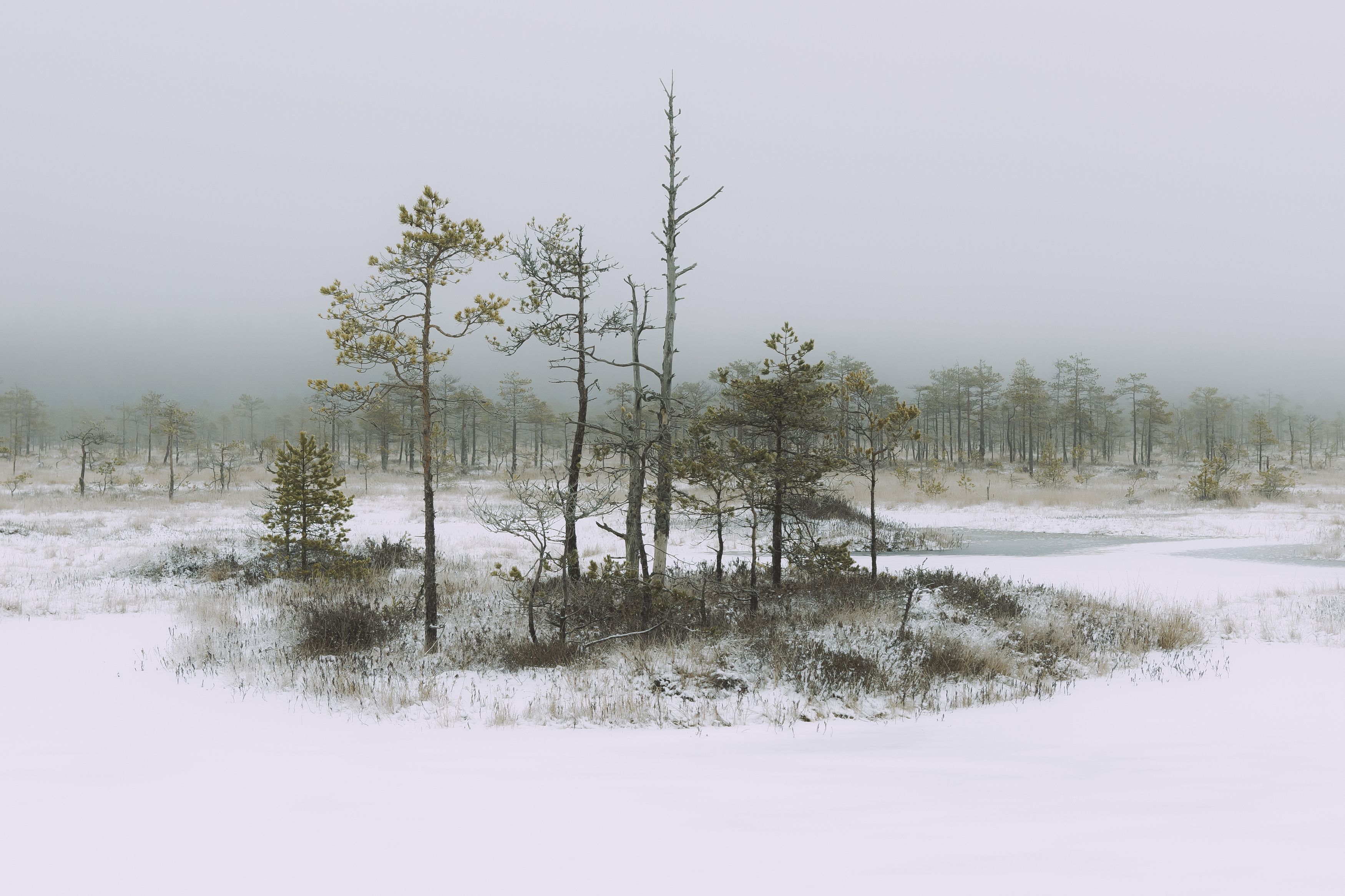 Photograph by Алексей Новиков