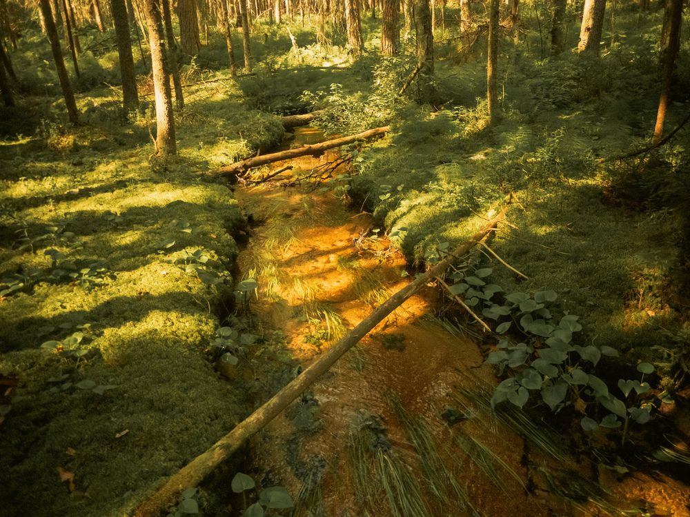 Фотография автора Boris Yakovlev