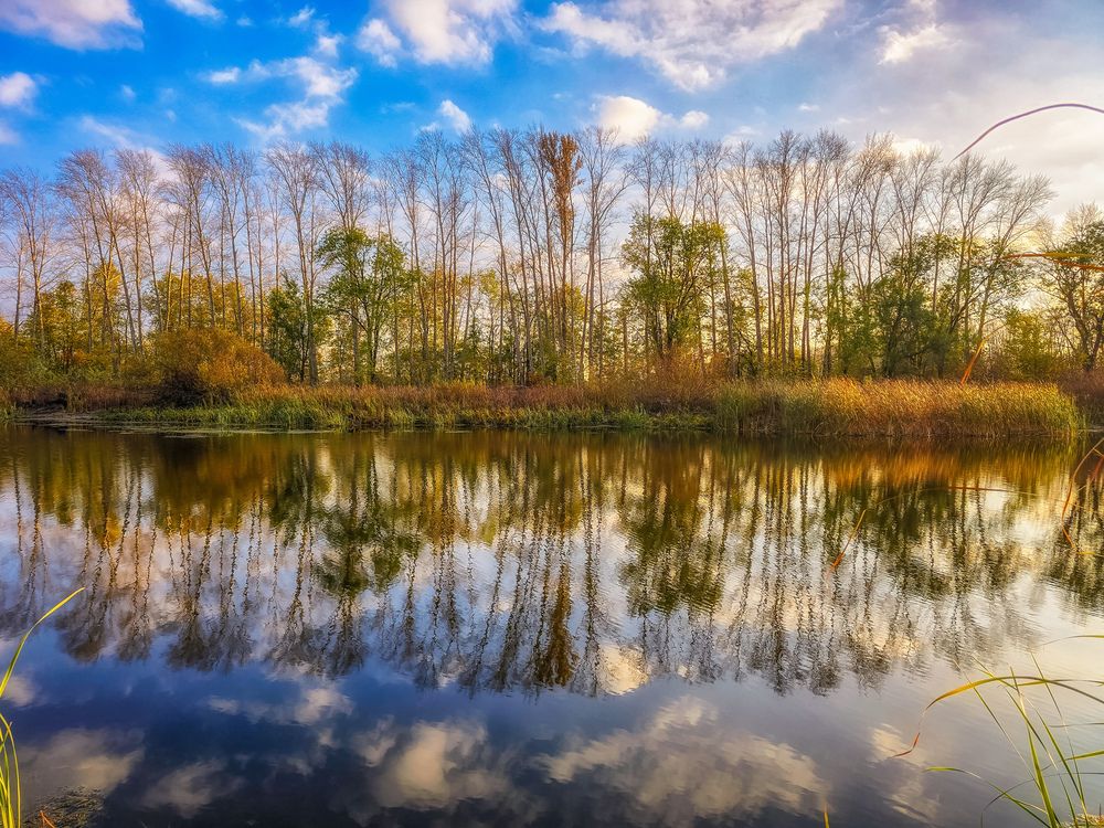 Photograph by Игорь Кабанов