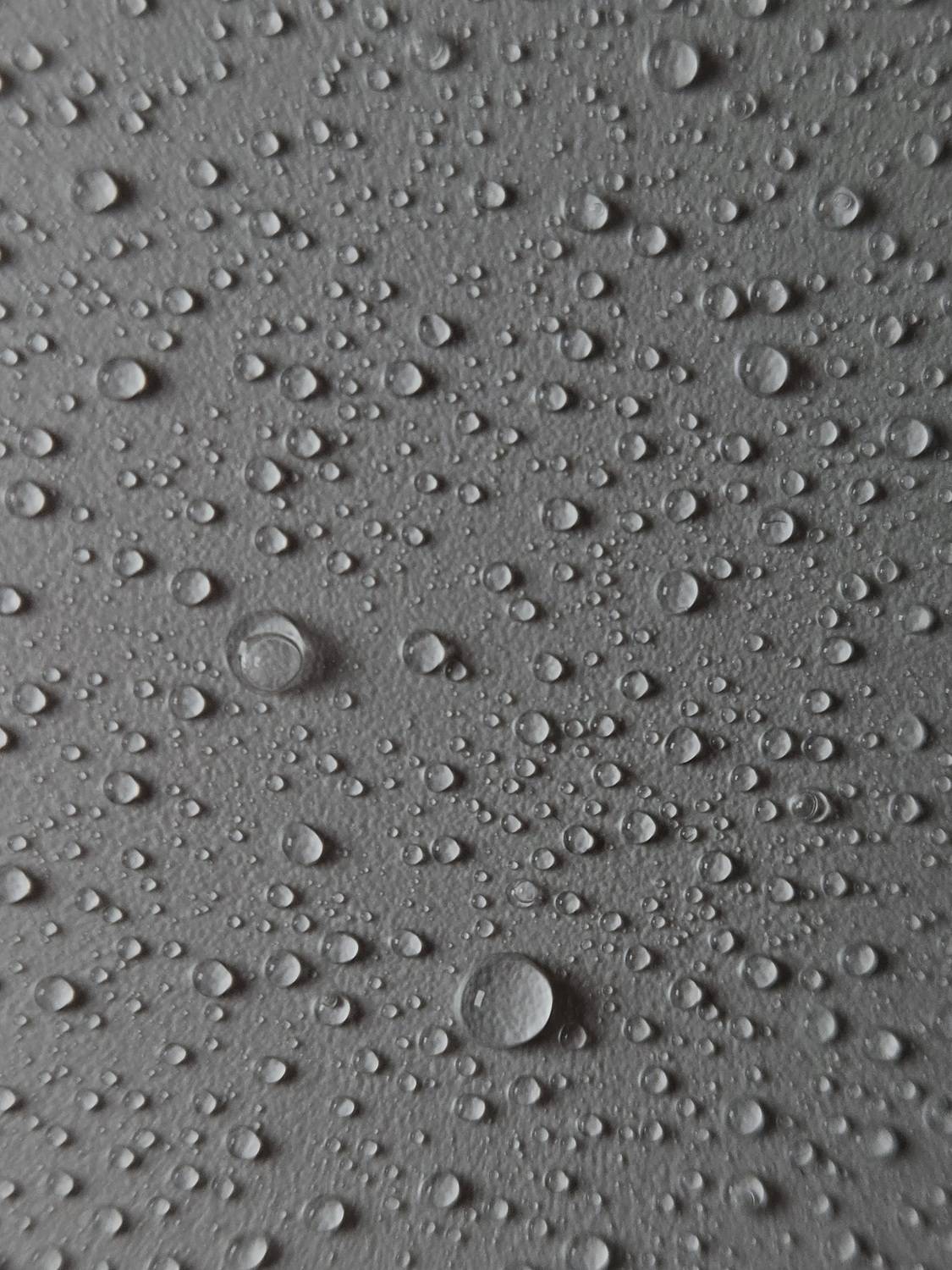 Photo #13303860