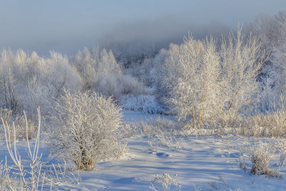 Photograph by АНДРЕЙ АБАКУМОВ