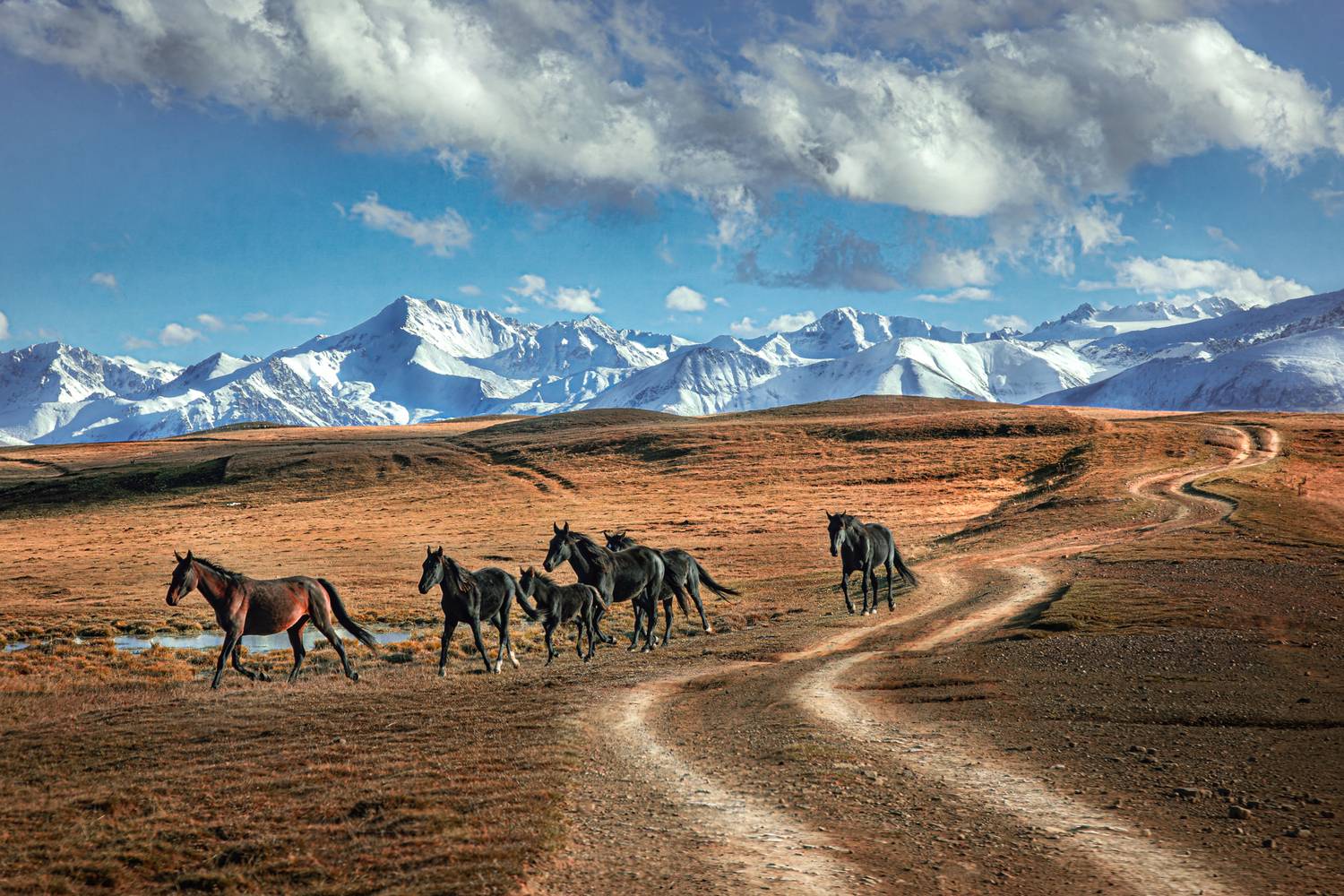 Фотография #13303917