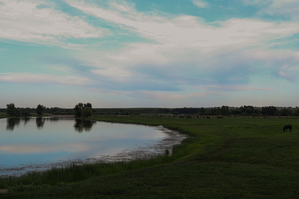 Фотография автора KattyFox