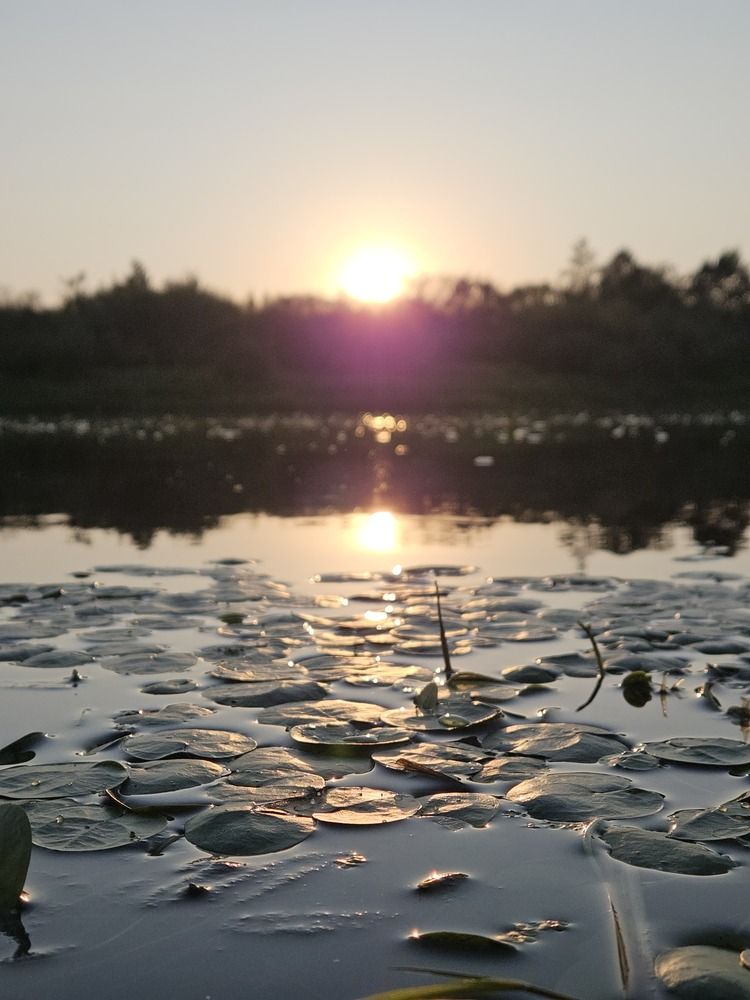 Photograph by Кристина Кердянова