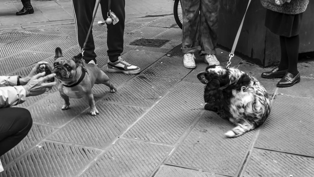 Photograph by Barbara Pindo