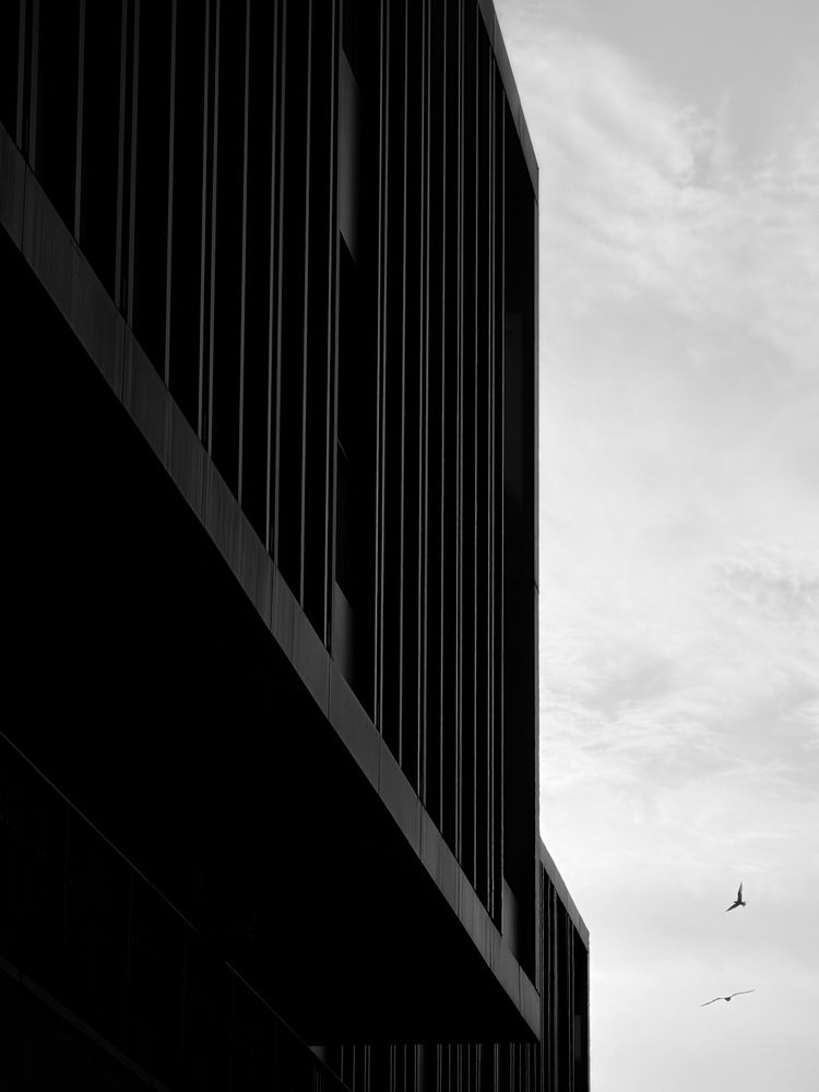 Photograph by Michael Voynov