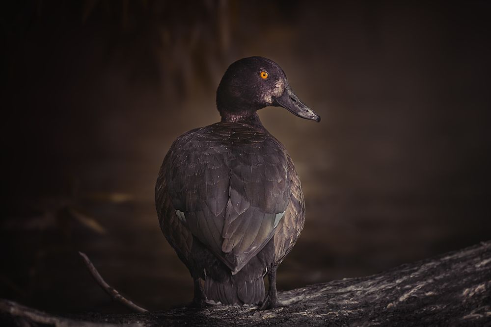 Photograph by Людмила Подольская