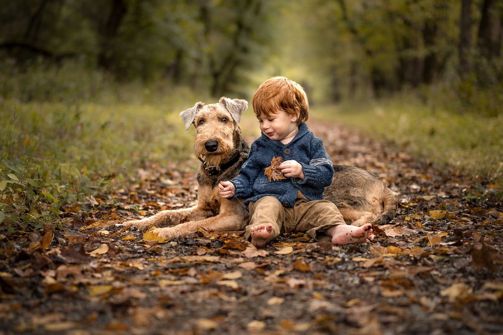 Photograph by Михаил Терёхин