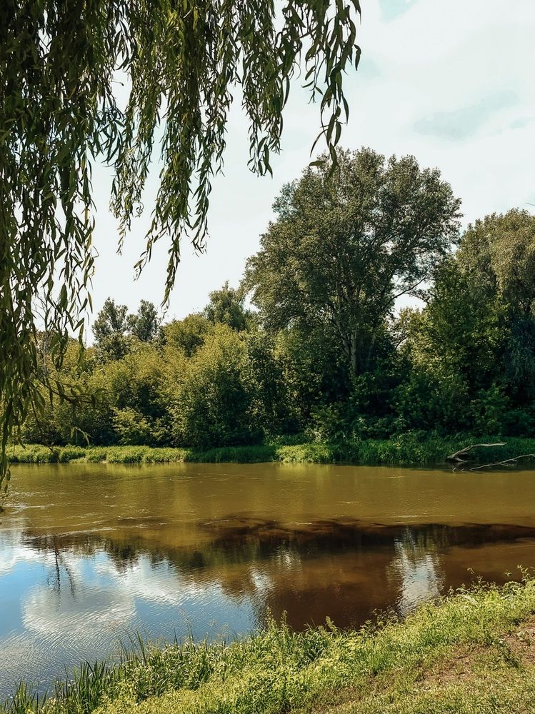 Photograph by Екатерина Сенько