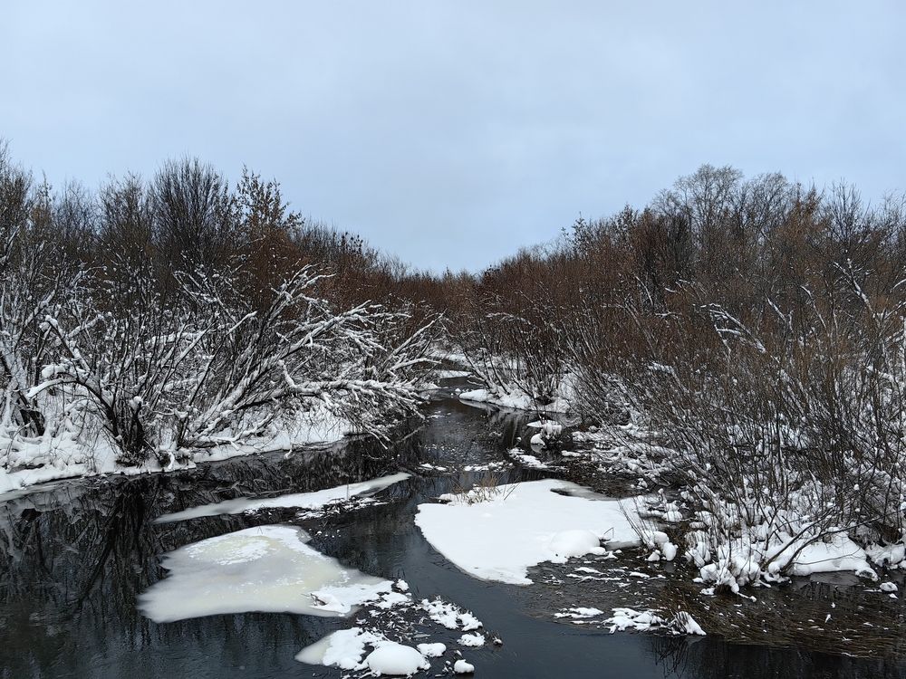 Photograph by Григорий Ходырев
