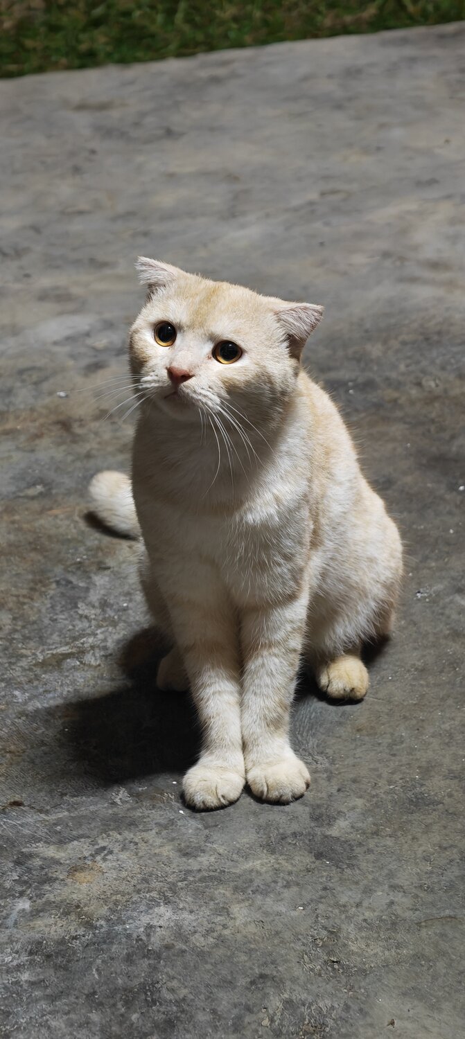 Photo #13304332