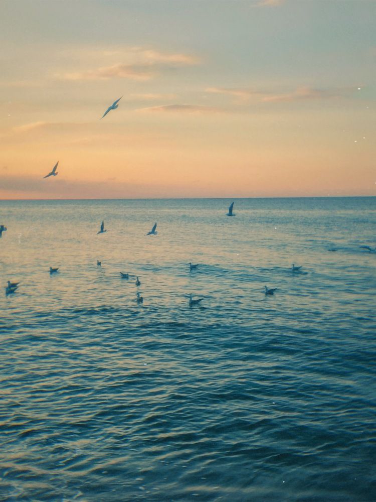 Photograph by Данил Воронин