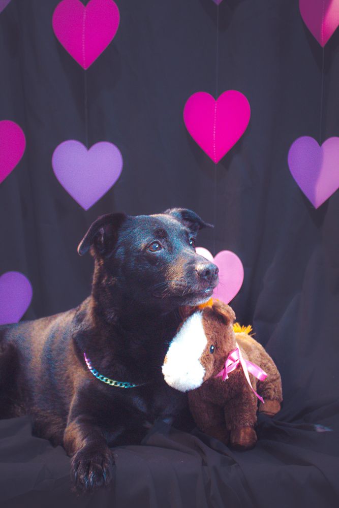 Photograph by Judá Ramires