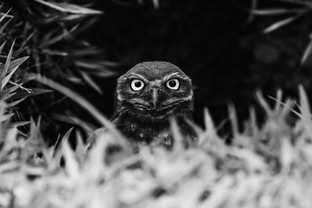 Photograph by Lara Amaral