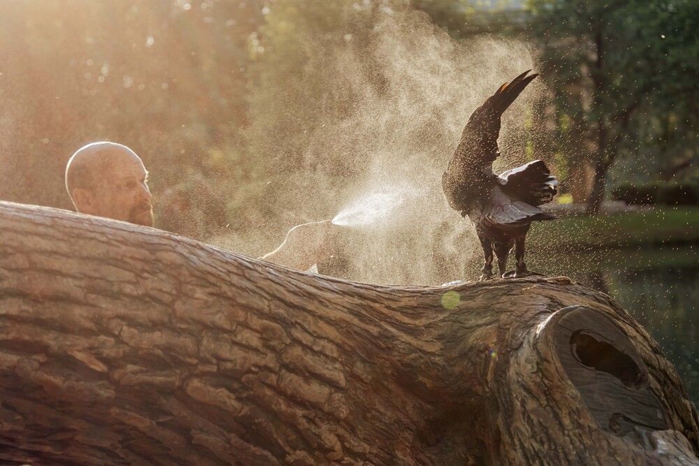 Photograph by Наталья Шумиловская