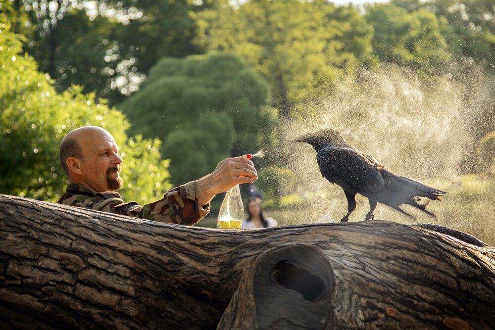 Photograph by Наталья Шумиловская