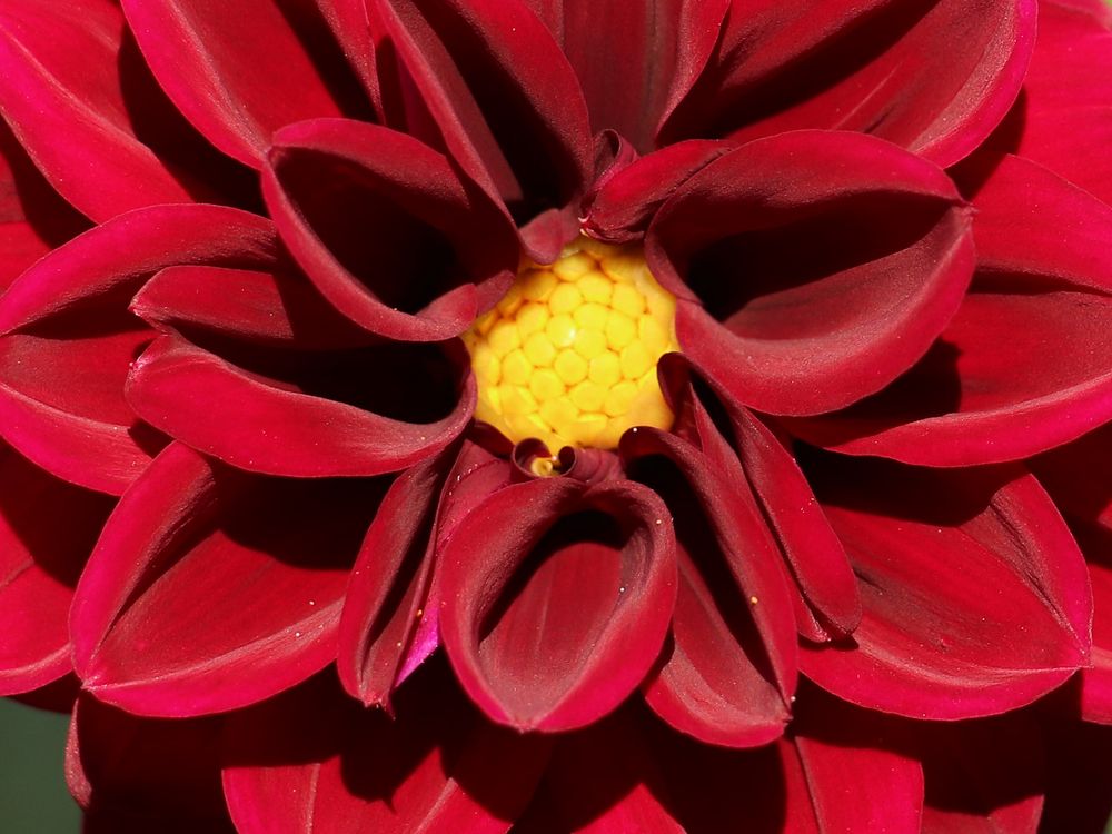 Photograph by Татьяна Елькина