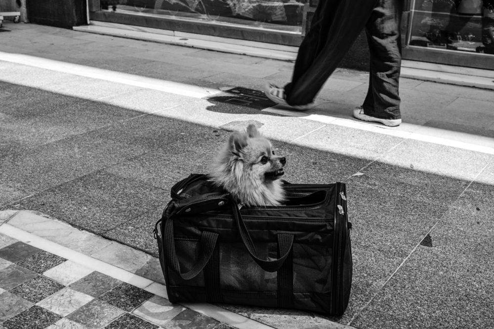 Фотография автора Sérgio Bruno Brandão