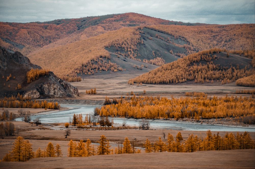 Фотография автора Анастасия Сахаревич