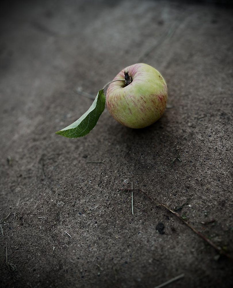 Photograph by Динара