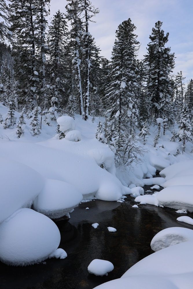 Photograph by Марина Кощеева