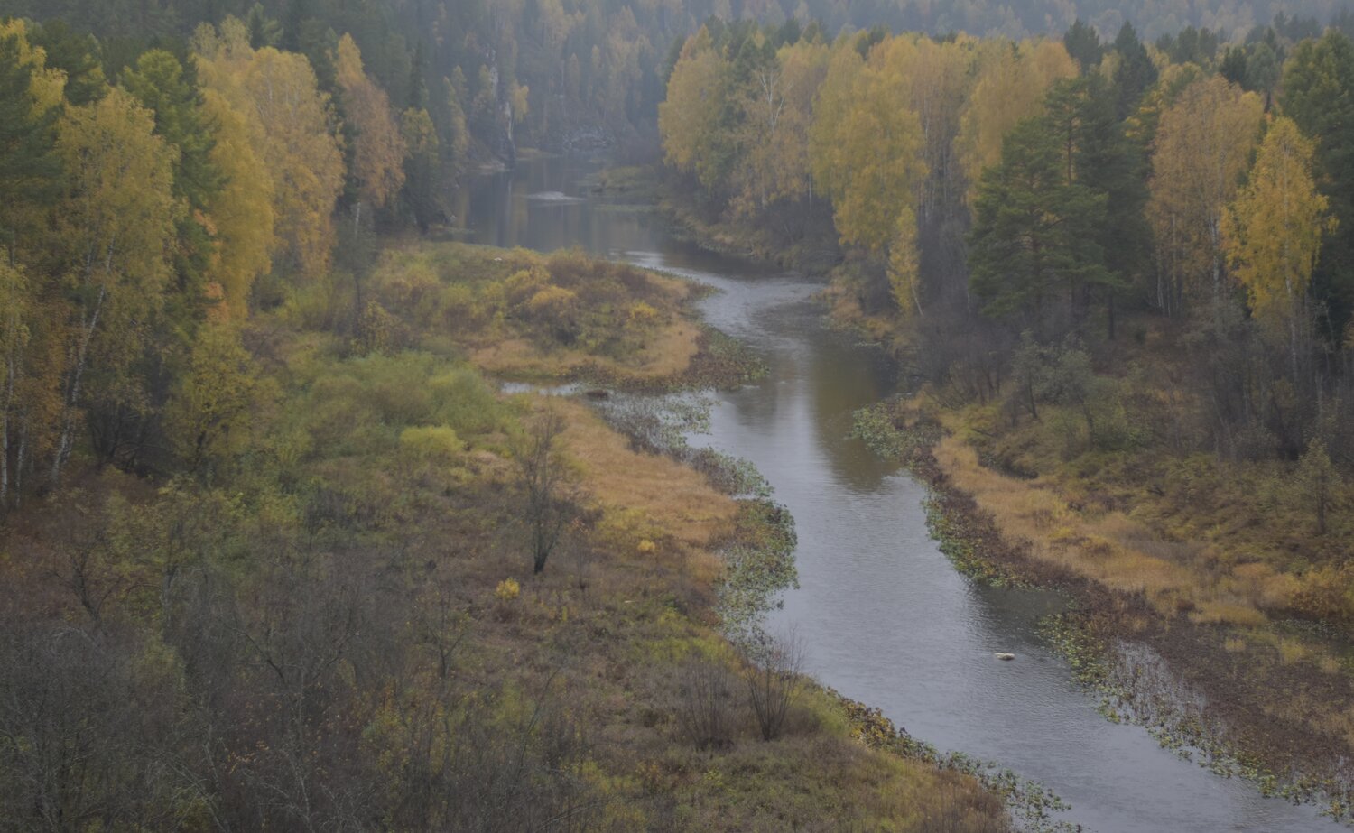 Photo #13304787