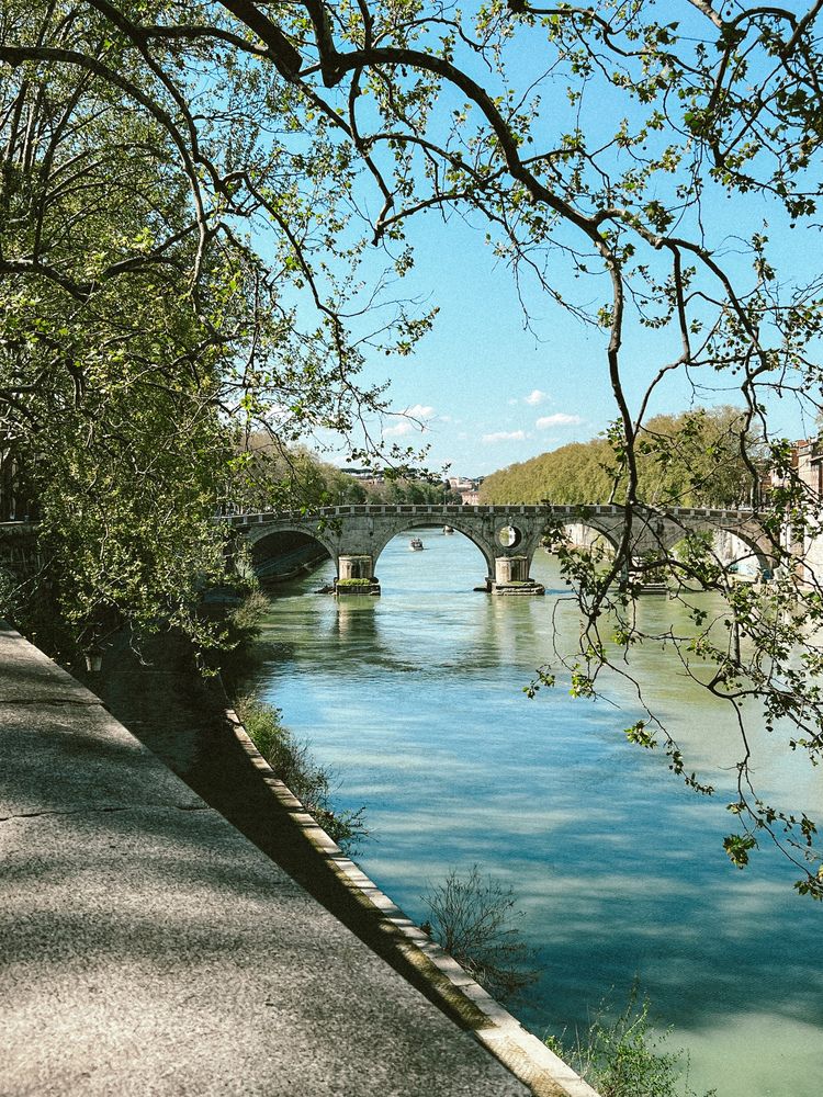 Фотография автора Julia Smilovitsky