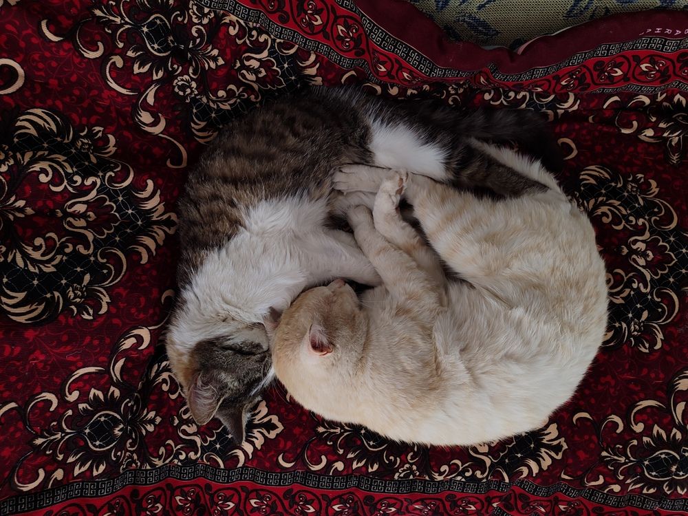 Photograph by Ажар