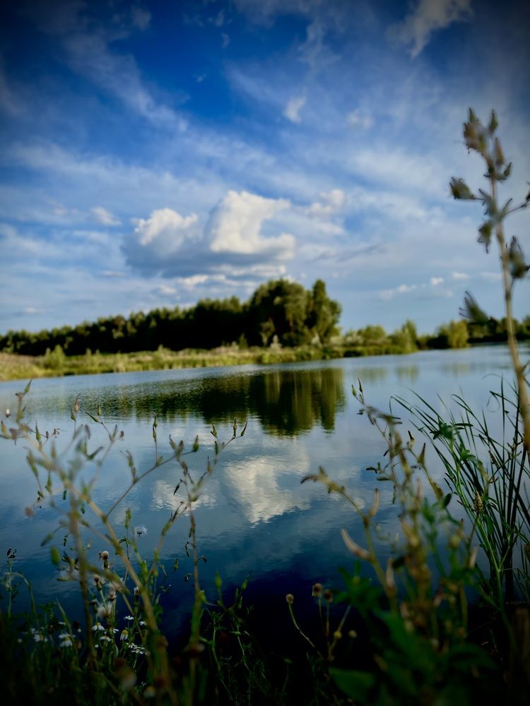 Photograph by Динара