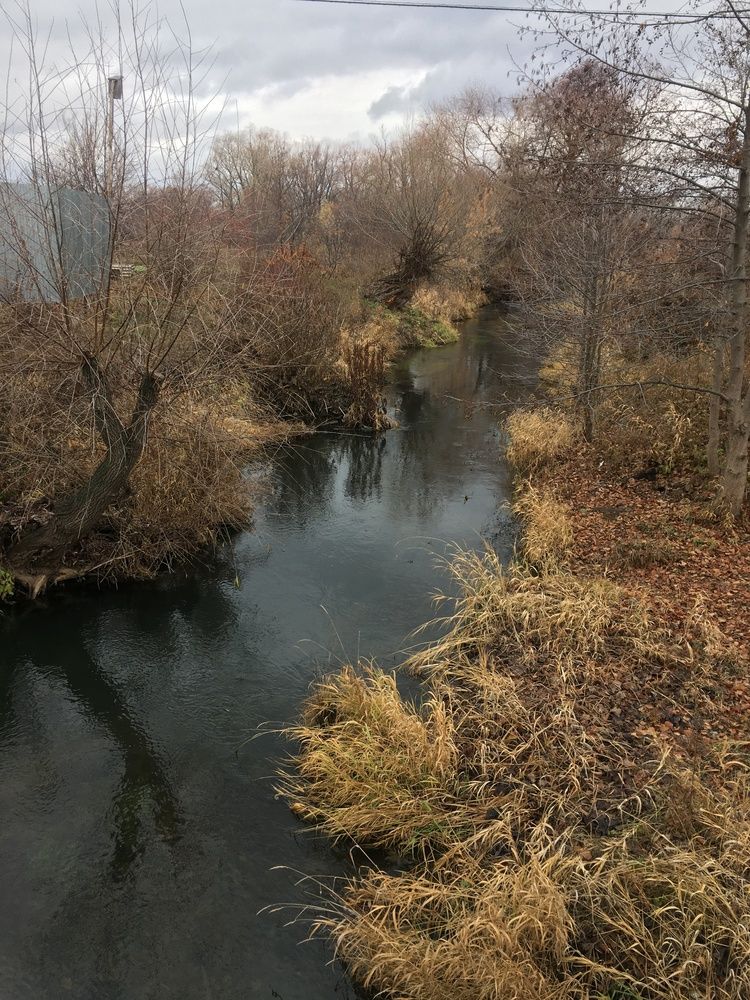 Photograph by Динара