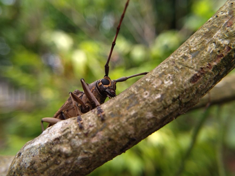 Photograph by Terence Ignatius