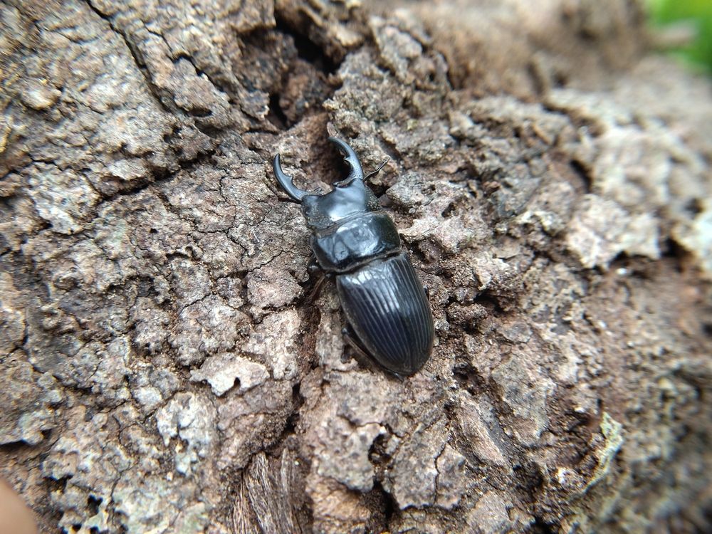 Photograph by Terence Ignatius