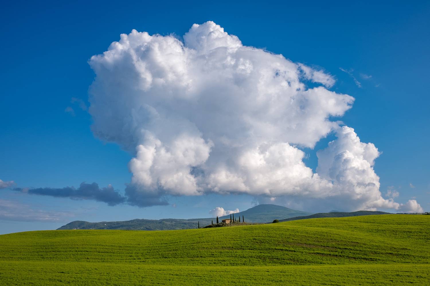 Под небом голубым