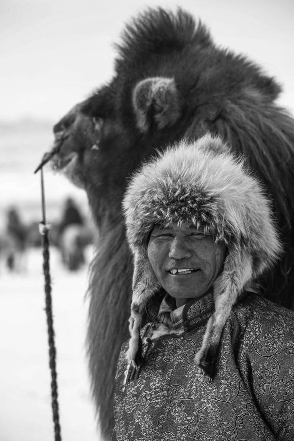 The Camel Herder’s Smile The Camel Herder’s Smile