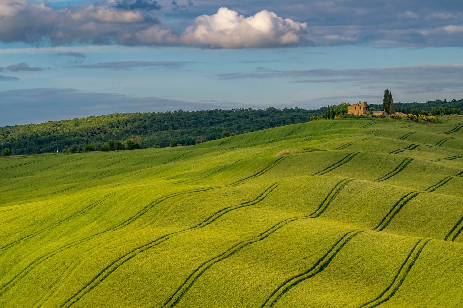 Покрывало Покрывало