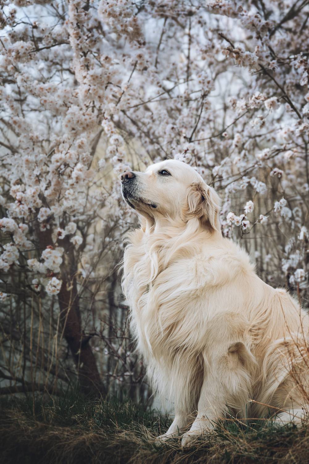 Фотография #13304941